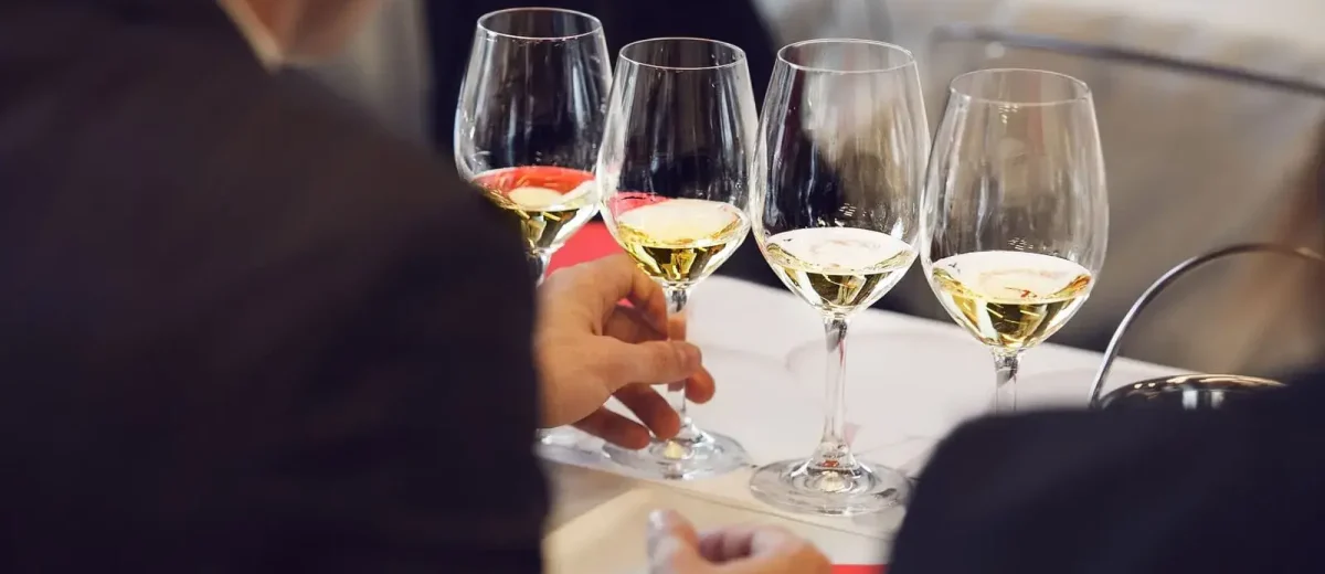 Vinos del Mundo: Descubre las Regiones Vitivinícolas Más Fascinantes