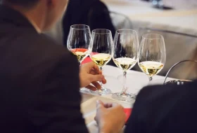 Vinos del Mundo: Descubre las Regiones Vitivinícolas Más Fascinantes