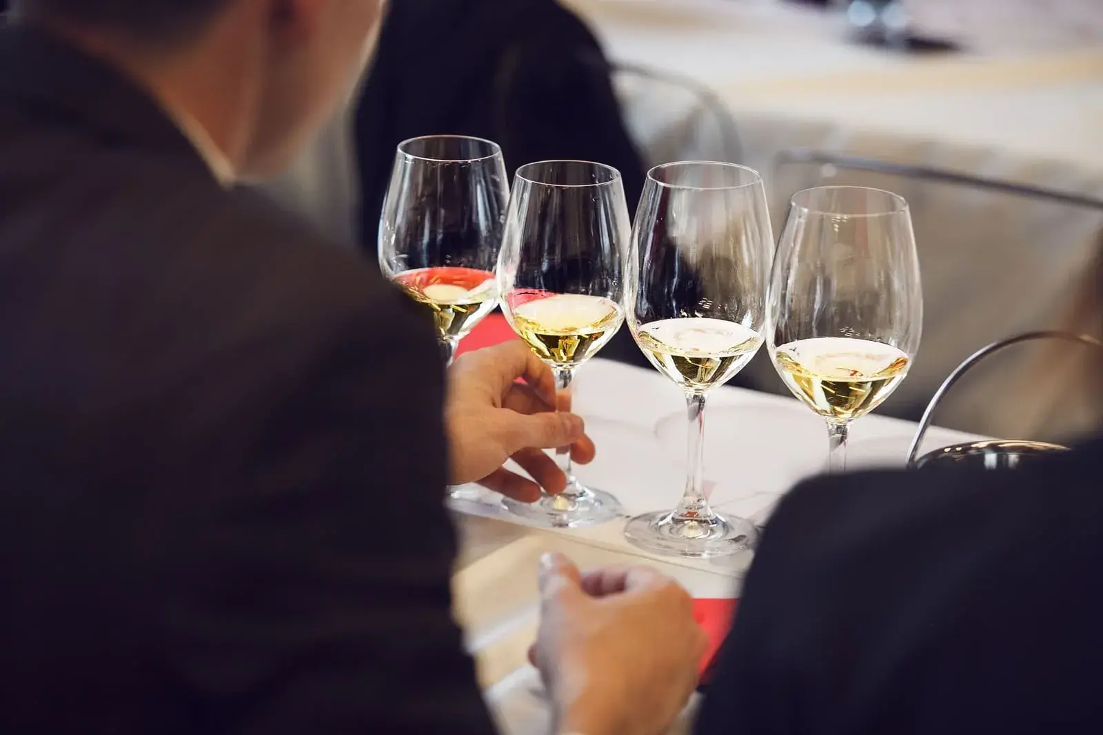 vinos-del-mundo WIN-E FORMACION